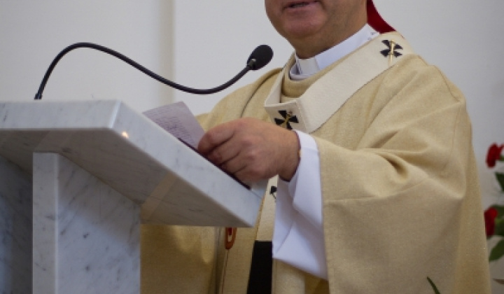 Birmovka 2012