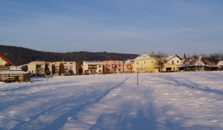 Zima
