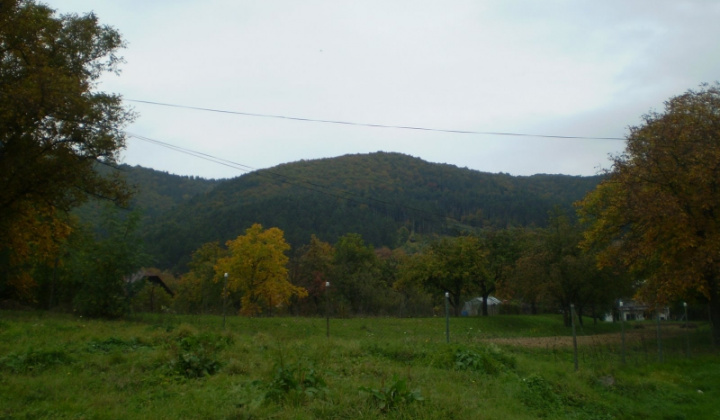 Ostatné