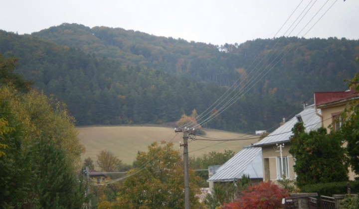 Ostatné