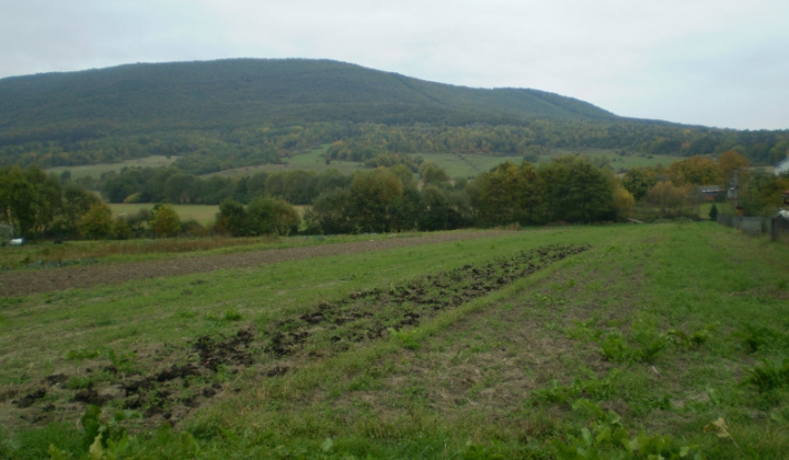 Ostatné