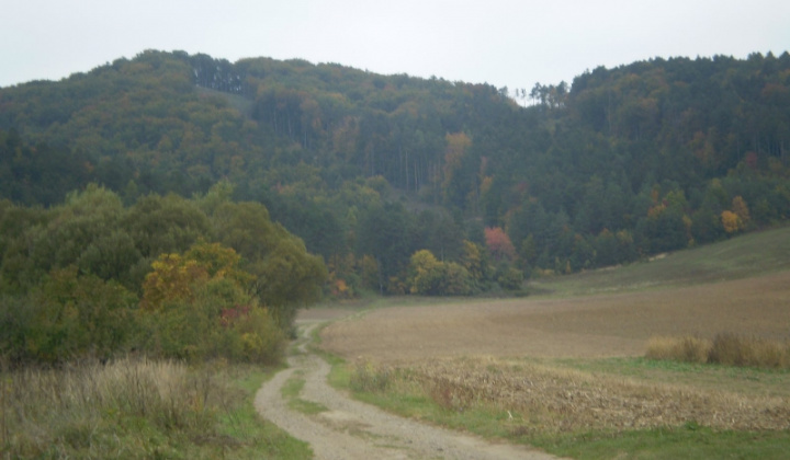 Ostatné