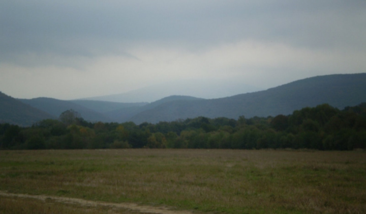Ostatné