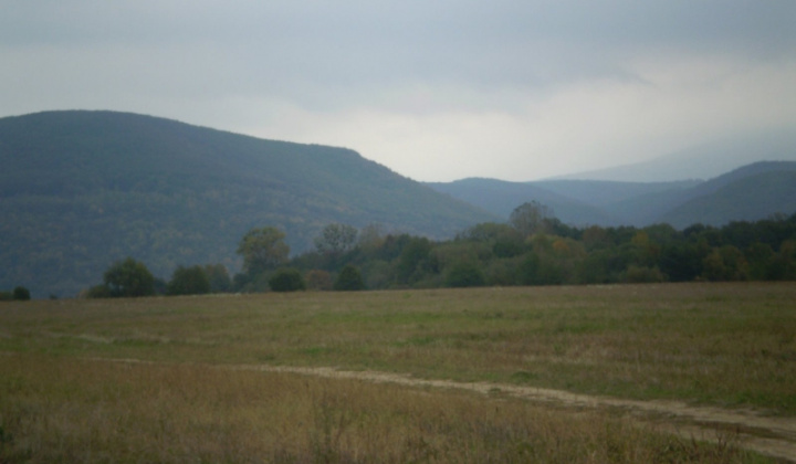 Ostatné