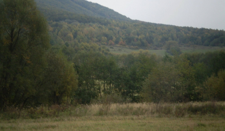 Ostatné