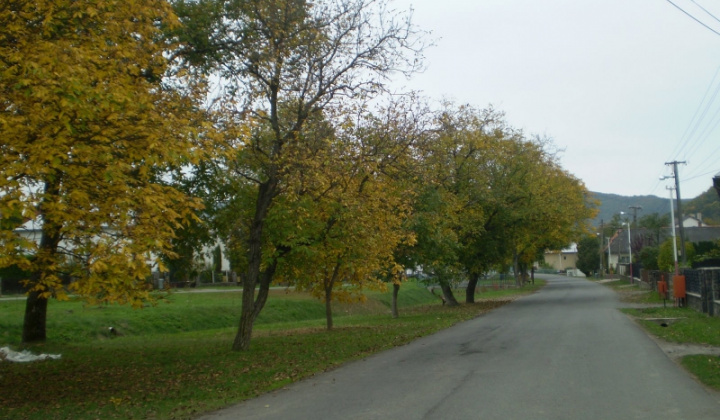 Ostatné
