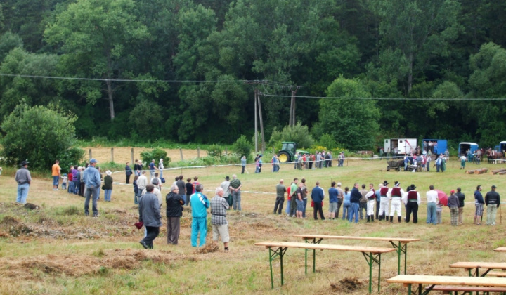 Furmanské závody 2009