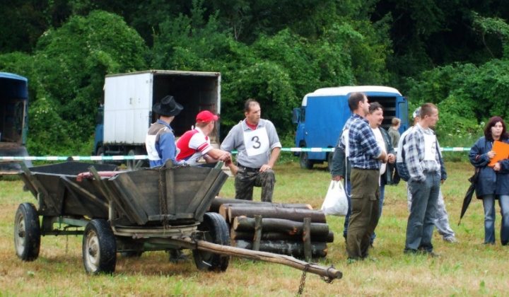 Furmanské závody 2009