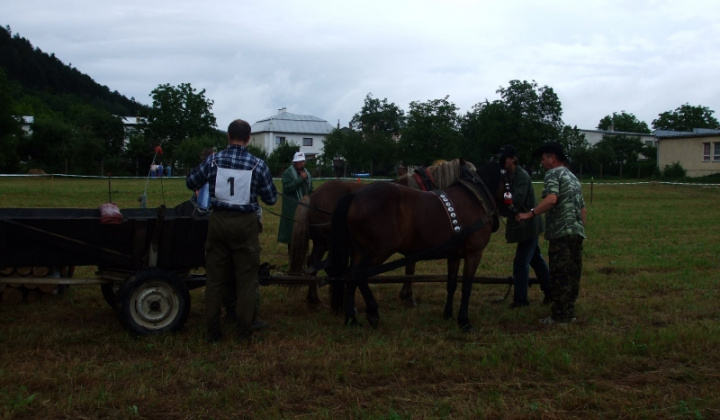 Furmanské závody 2009