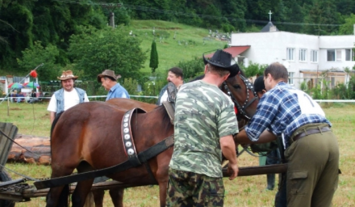 Furmanské závody 2009