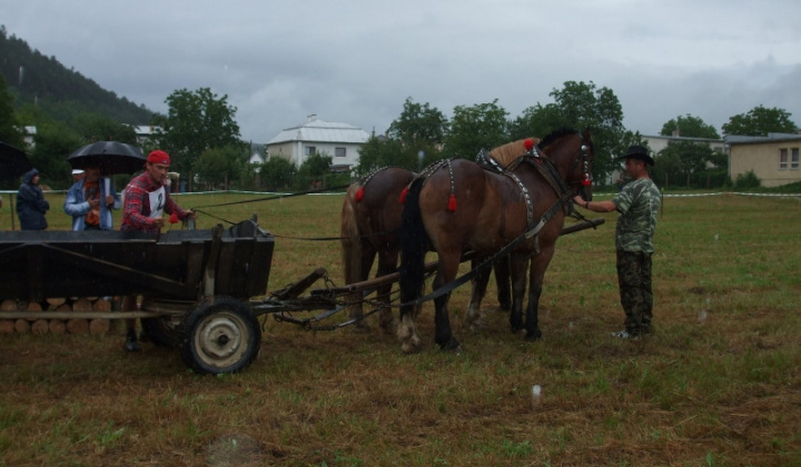 Furmanské závody 2009