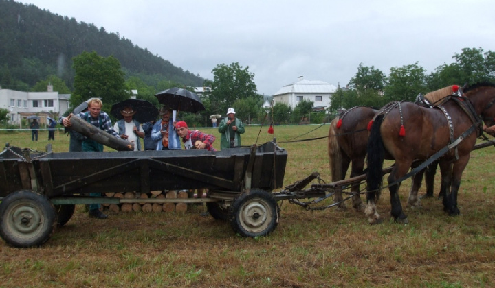 Furmanské závody 2009