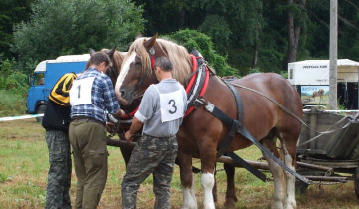 Furmanské závody 2009