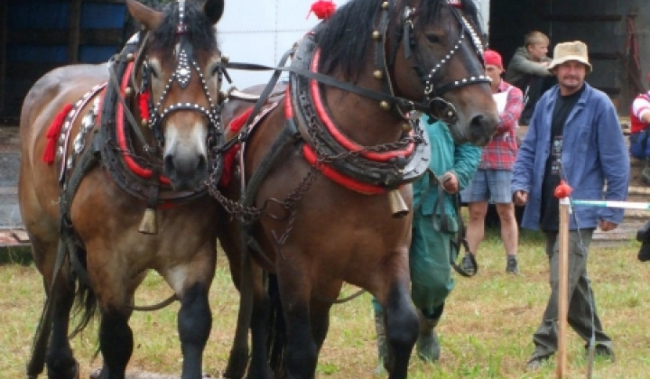 Furmanské závody 2009