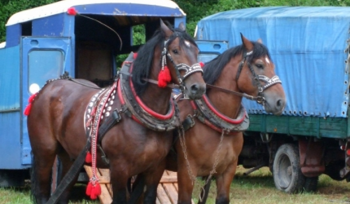 Furmanské závody 2009