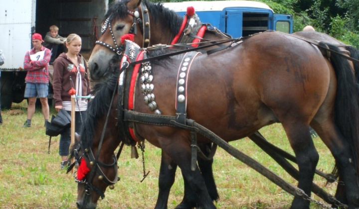 Furmanské závody 2009