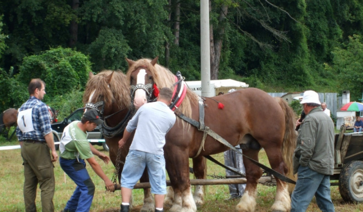 Furmanské závody 2009