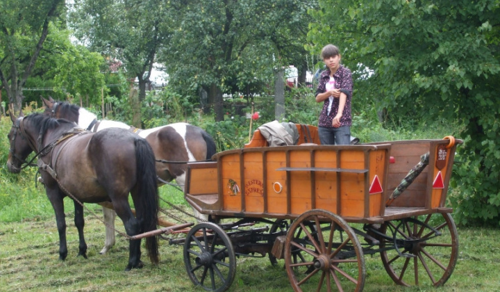 Furmanské závody 2009