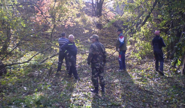 2011