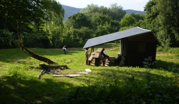 2011