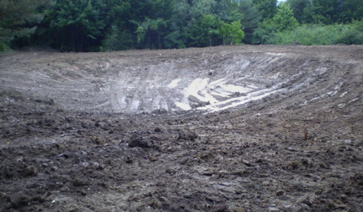 2011