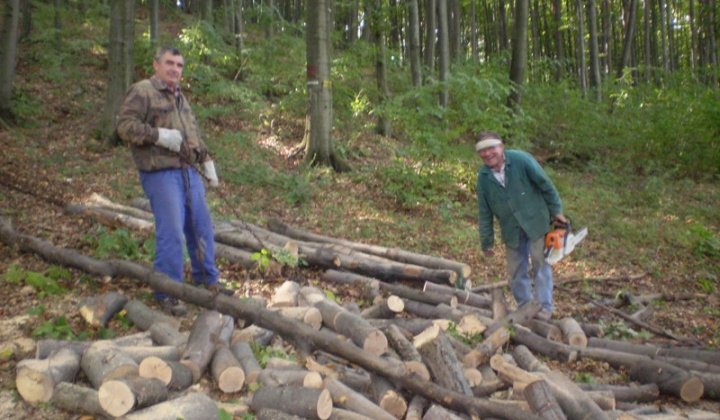 2010