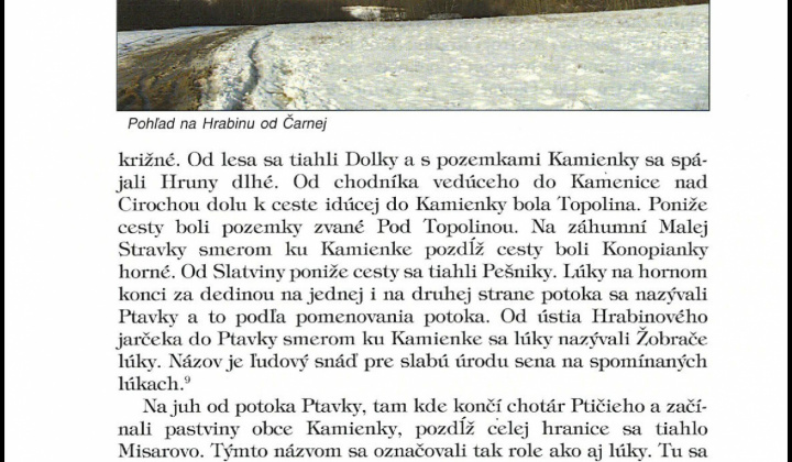 Kniha Ptičie k nahliadnutiu:
