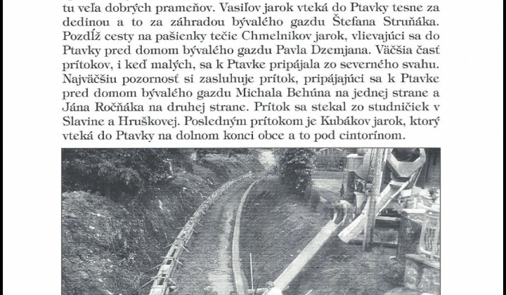 Kniha Ptičie k nahliadnutiu: