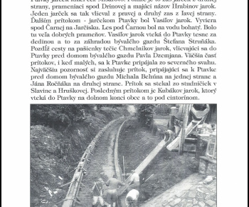 Kniha Ptičie prvá časť