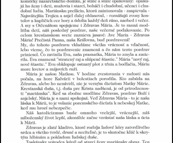 Kniha Ptičie štvrtá časť